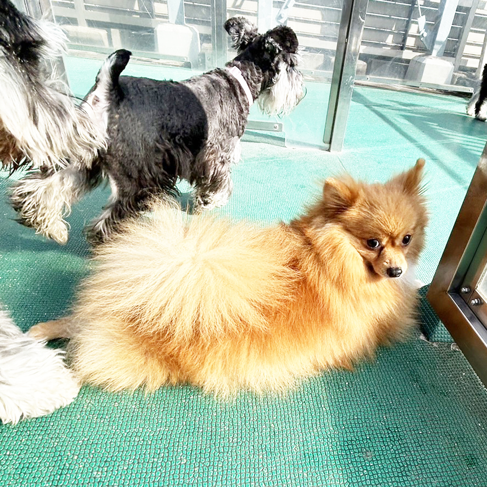 生徒が撮影した写真を送ってくれました！①